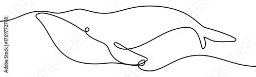 Whale in Water sign, minimalist ecological and environmental concept symbol, continuous line design, isolated on transparent background, vector illustration