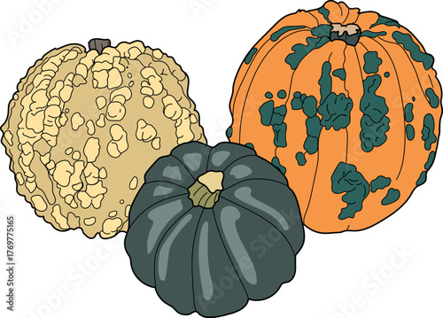 Three Unusual Pumpkins with Warty and Ribbed Surfaces: One Light Yellow Warty, One Orange with Green Warts, and One Blue-Green Ribbed
