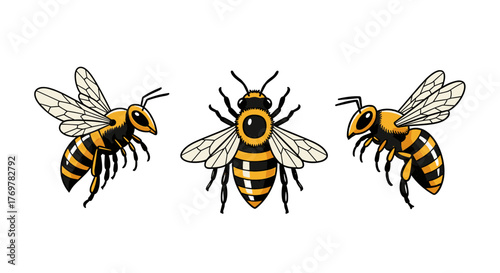 Three stylized bees in different poses against a black background, showcasing their distinctive yellow and black stripes, transparent wings, and segmented bodies, perfect for nature, insect, or