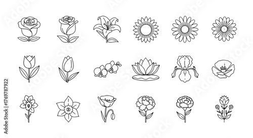 Collection of 18 stylized white line art floral illustrations on a black background, featuring a variety of popular flowers like roses, tulips, lilies, sunflowers, orchids, lotuses, irises, poppies