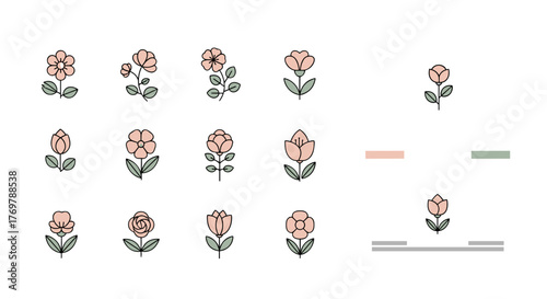 Collection of delicate, minimalist line art floral icons and illustrations featuring various types of flowers like roses and tulips in soft pastel pink and green hues, perfect for spring, nature, and