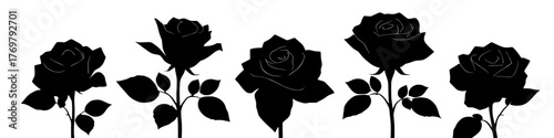 elegant black rose silhouettes on a white background, perfect for design elements