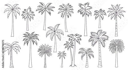 Collection of hand-drawn palm tree illustrations in white outline on a black background, featuring a variety of palm species and sizes, perfect for tropical themes and summer designs.