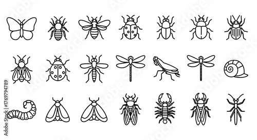 Collection of insect outline icons with editable stroke, perfect for infographics, articles, books, flyers, and banners. This vector cartoon illustration features a white background, offering