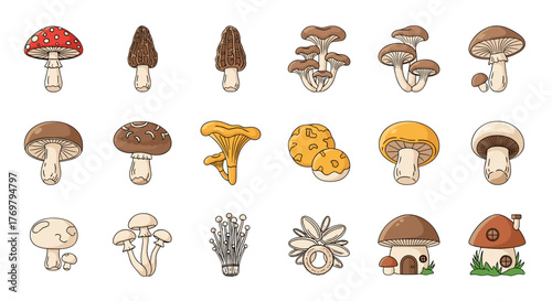 A whimsical collection of 16 unique mushroom illustrations, featuring a variety of shapes, colors, and styles, including iconic toadstools, morels, chanterelles, and even charming mushroom houses