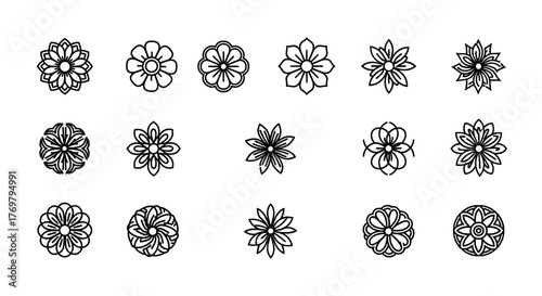 Vivid and dynamic vector cartoon illustration of a stylized flower logo design, presented as an ordered set of line icons on a clean white background, perfect for branding and design projects