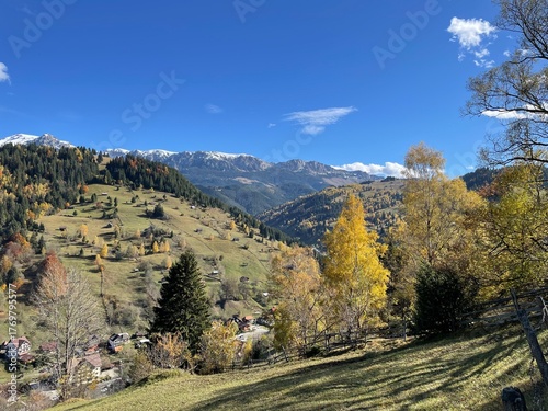 Beautiful autumn landscape in the Carpathian Mountains of Romania. Vibrant forest colors, green meadows, and a snow-capped peak under a clear blue sky create a perfect scene of natural harmony 