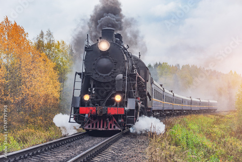 Steam retro train moves in the autumn forest.