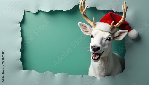 Funny white reindeer wearing a Santa hat peeking and smiling through a torn green paper background. Playful Christmas concept with bright festive colors and humor, perfect for creative holiday cards, 