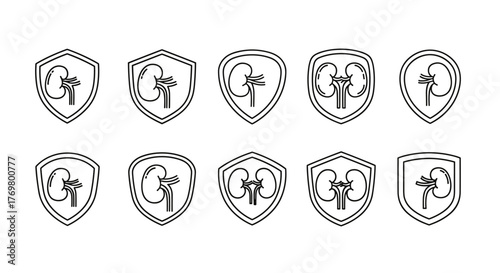 Set of ten identical kidney symbols enclosed within shield outlines, presented as linear, minimalist vector graphics. This collection is ideal for graphic design, web development, app icons