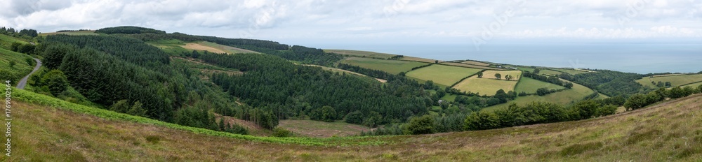 Obraz premium Landscape photo of Porlock Common in Exmoor National Park
