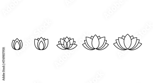 Minimalist line art logo design featuring a set of five lotus flowers in increasing size, presented in a clean, vector cartoon illustration style on a white background. This ordered set of line icons