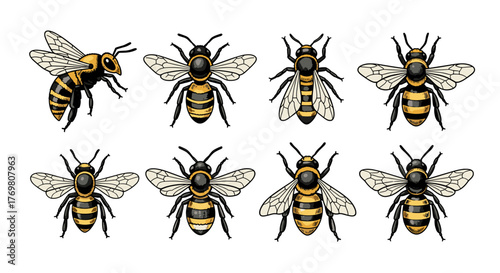 Vintage Hand-Drawn Bee Logo Design: A Vector Cartoon Illustration Set. This ordered collection features detailed, stylized bees, perfect for branding, nature themes, or educational materials. Each