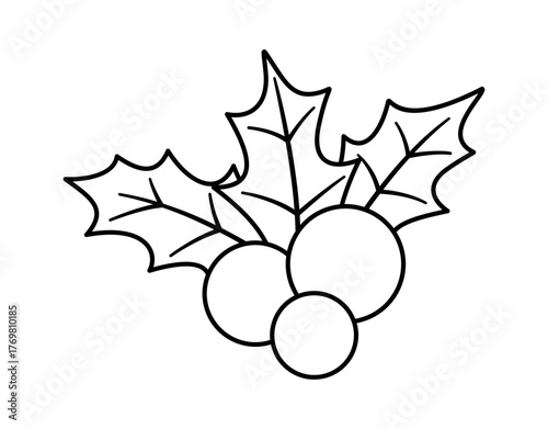 Black-and-white Christmas berry holly mistletoe