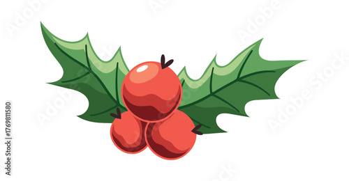Mistletoe holly berries Christmas element