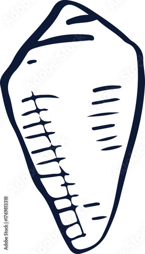 Blue Hand-drawn Nautical Shell Illustration