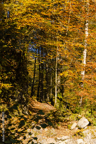 Wanderung durch die Bürser Schlucht, Wandern in Österreich, Vorarlberg im Herbst. 