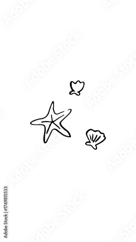 estrella de mar