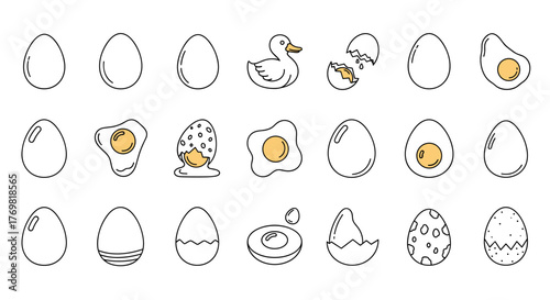 Collection of diverse egg icons, including whole eggs, cracked eggs, fried eggs, and a duckling, rendered in a clean, thin-line vector style with yellow accents on a black background, perfect for