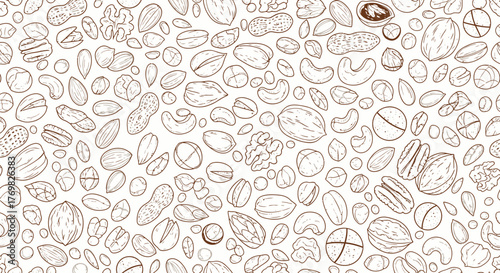 Assortment of Nuts - A Detailed Line Art Illustration.
