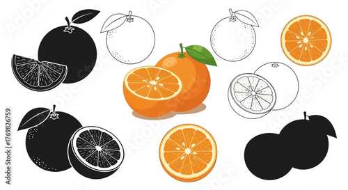 Oranges in Various Styles - Color, Silhouette, and Outline.
