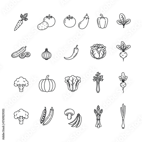 Vegetables line icon set. Vector pictograms of broccoli, potato, onion, garlic, lettuce, spinach, pepper, cucumber, pumpkin, turnip, celery, cabbage, mushroom, thin linear illustration