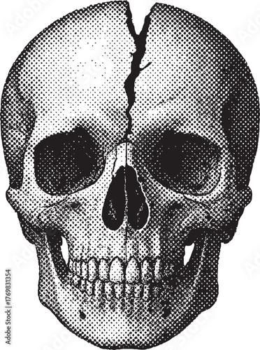 Halftone Cracked Skull Illustration – Vintage Engraved Etching Art