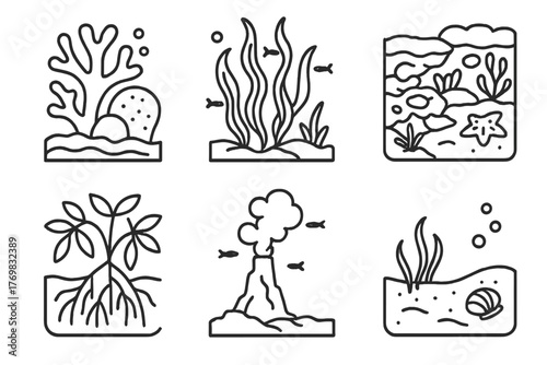 Marine Biology Icons. Line style icons of marine biology habitats: coral reef, kelp forest, tide pool, deep sea vent, mangrove