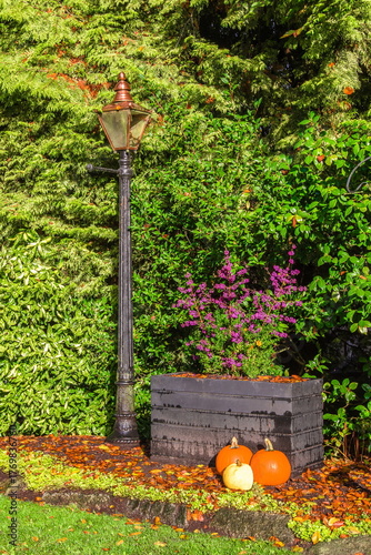 Three Halloween pumpkins sit on a lawn with yellow leaves under a lantern and flower bed in New Westminster City Park.