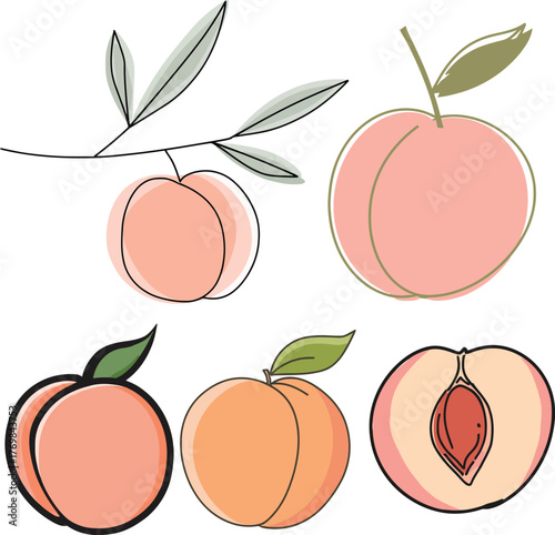 Peach sketch drawing with two ripe peaches and soft outlined leaves
