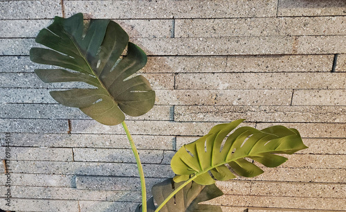 Monstera Leaves Against a Grey Brick Wall
