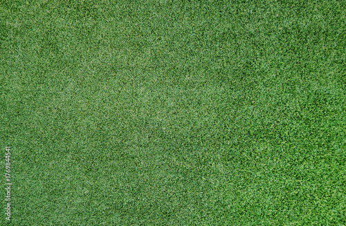 Vibrant Green Grass Texture