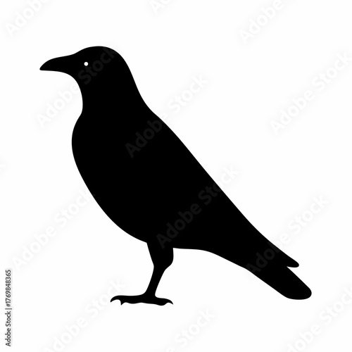 Sleek Black Crow Silhouette Standing Tall Against a Pure White Background