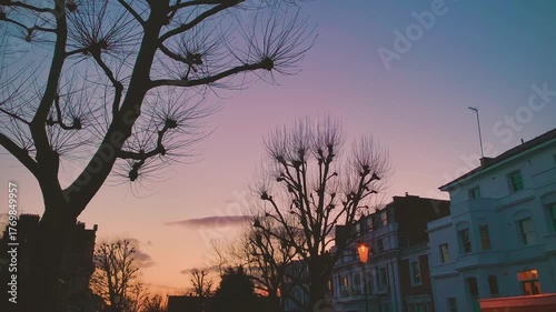Bare London Plane Trees, Royal Borough Of Kensington And Chelsea, Victorian Terraced Houses, Streetlights, Purple, Pink Sunset Sky, British Old Residential Neighbourhood