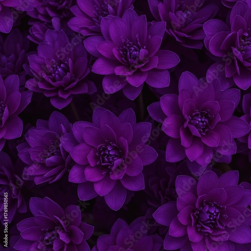 A lush, seamless pattern of stylized purple and deep violet blossoms creating a vibrant, dreamy, and richly textured backdrop design ,blossom ,design ,seamless