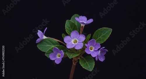 A beautiful decorative background featuring small, detailed violet flowers and green leaves, ideal for fabric design, invitation cards, or digital art ,violet ,digital ,lilac