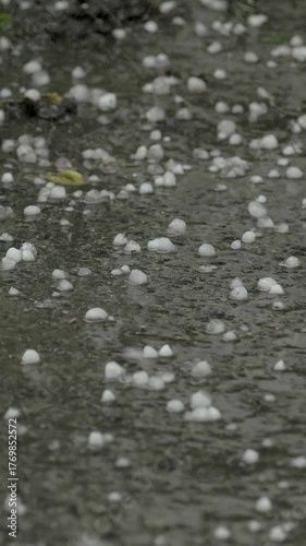 Dark soil covered with hail stones, evidence of a severe weather incident. Unpredictability of storms like this serves as a reminder of the potential consequences of ongoing climate change
