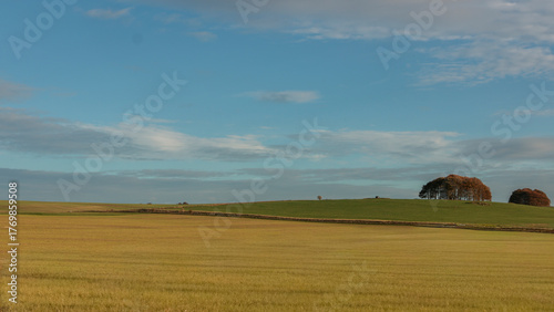 Foto Wiltshire landscape England