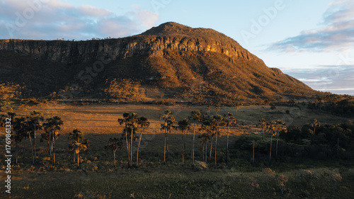 Morro da Baleia, Chapada dos Veadeiros, aerial drone view, green fields with buritis, mountains, road