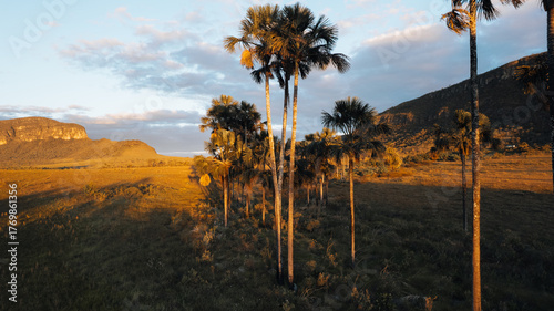 aerial drone view, green fields with buritis, mountains and Morro da Baleia, Chapada dos Veadeiros