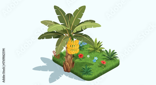 Tropical banana tree with ripe fruits and fresh green vegetation around it