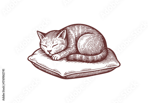 Pilow hand drawn simple vector illustration