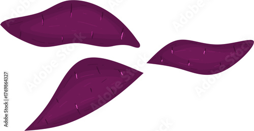 Purple Sweet Potato Illustration