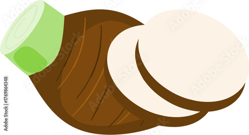 illustration of taro tuber