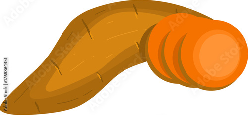 Orange Sweet Potato Illustration