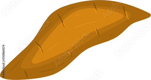 Orange Sweet Potato Illustration