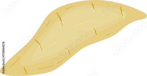Yellow Sweet Potato Illustration