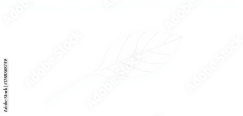 Simple, minimalist line drawing of a single leaf, green, vector leaf