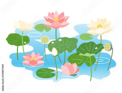 蓮と睡蓮が咲き誇る池をイメージしたイラスト