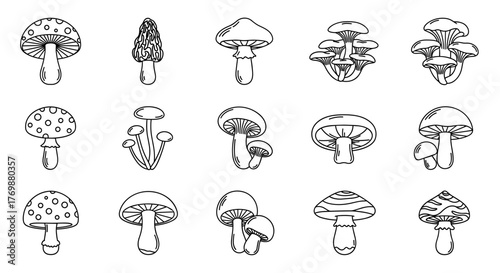 Collection of simple, isolated line art mushroom icons with editable strokes, suitable for websites, books, cards, and apps. This vector cartoon illustration features a variety of mushroom shapes and